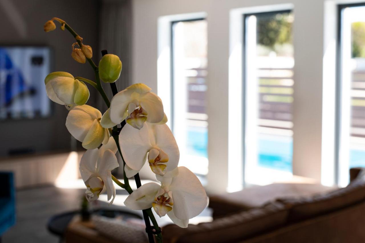 Marcante Family Villa With A Pool Poreč Exterior foto